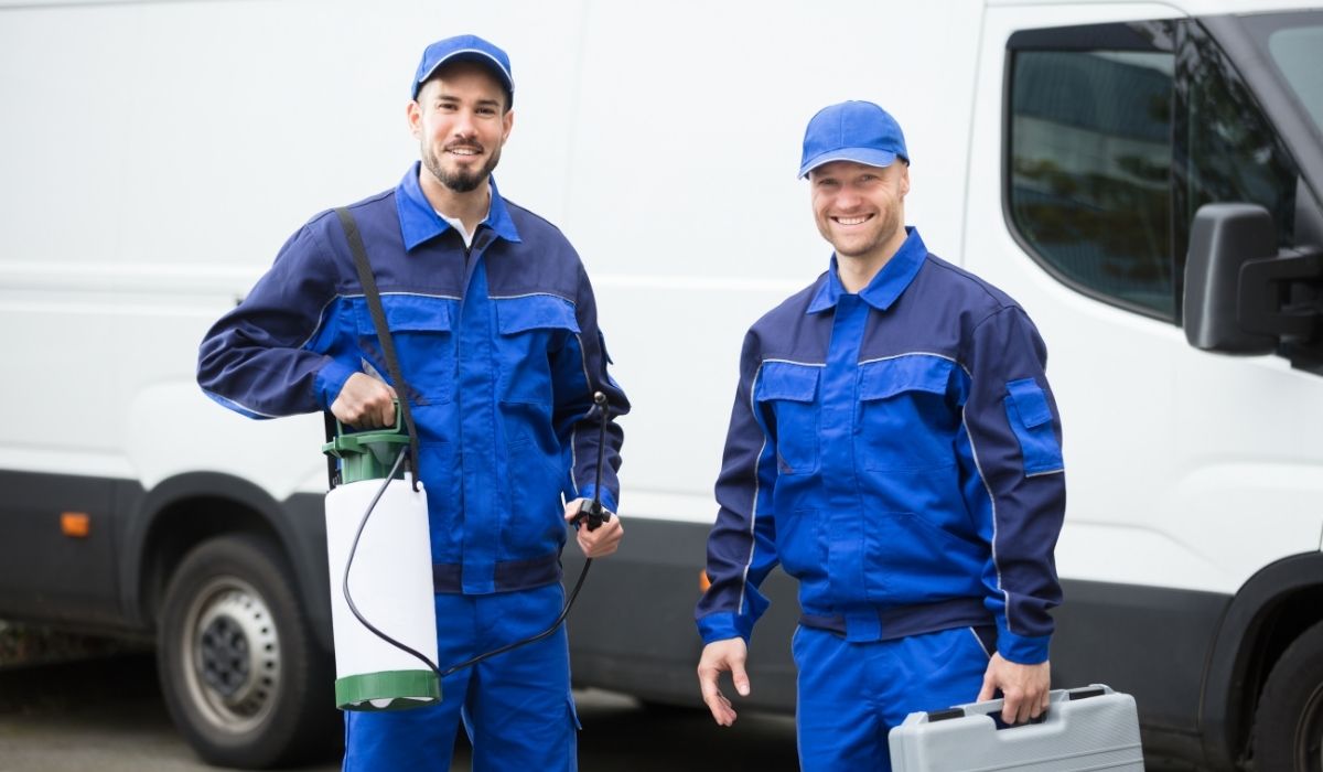 مكافحة النمل الأبيض مكافحة النمل الأبيض