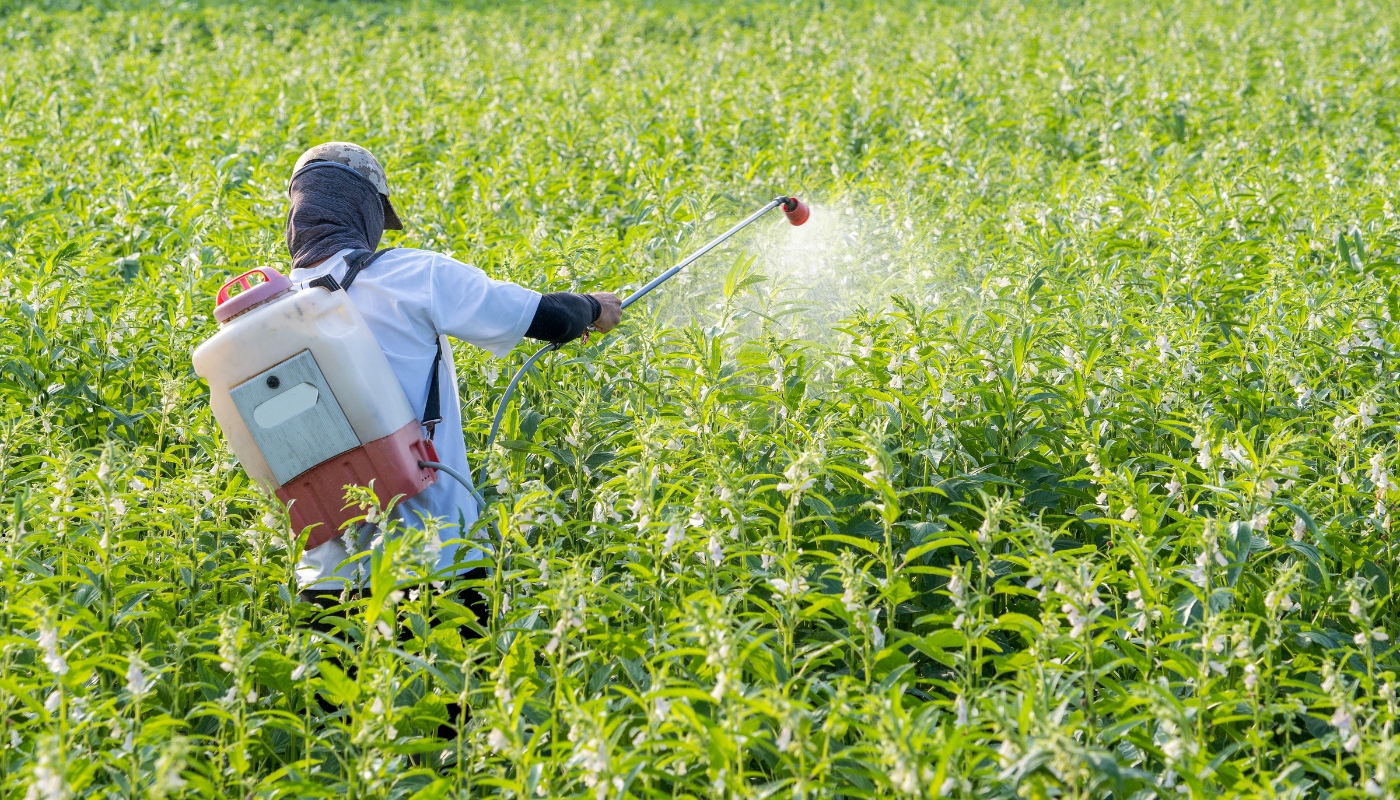 فريق شركة مبيدات في الكويت يقدّم خدمات وقائية متقدمة لحماية المنازل من الحشرات باستخدام مبيدات آمنة وتقنيات حديثة.