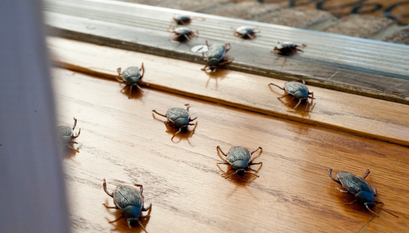 فني من شركة مبيدات يقوم برش وتعقيم منزل في الكويت باستخدام مبيدات آمنة ومعتمدة للقضاء على الحشرات المنزلية