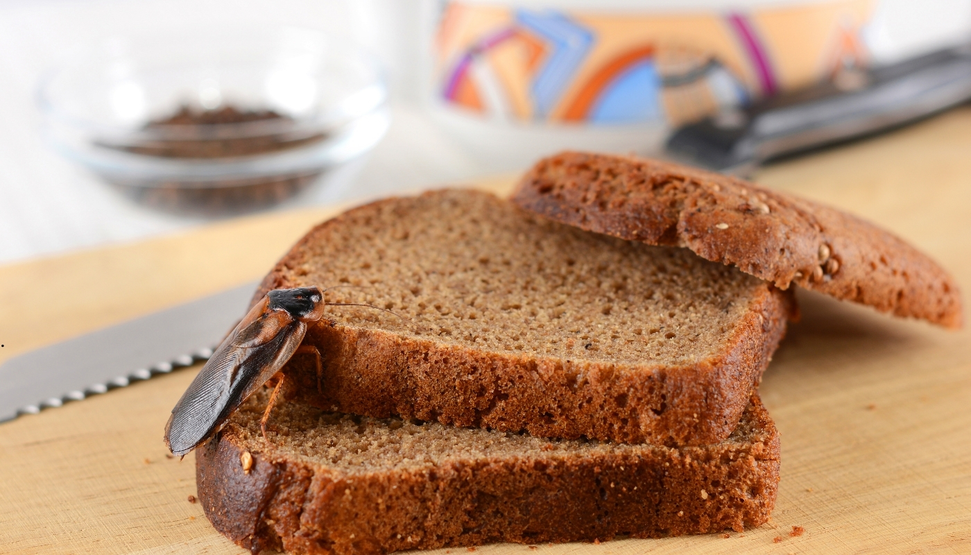 فني مكافحة حشرات يقوم برش مبيد آمن داخل منزل في الكويت لضمان حماية مستمرة من الحشرات طوال العام